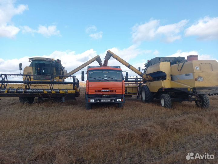 Камаз перевозка зерна Ишим
