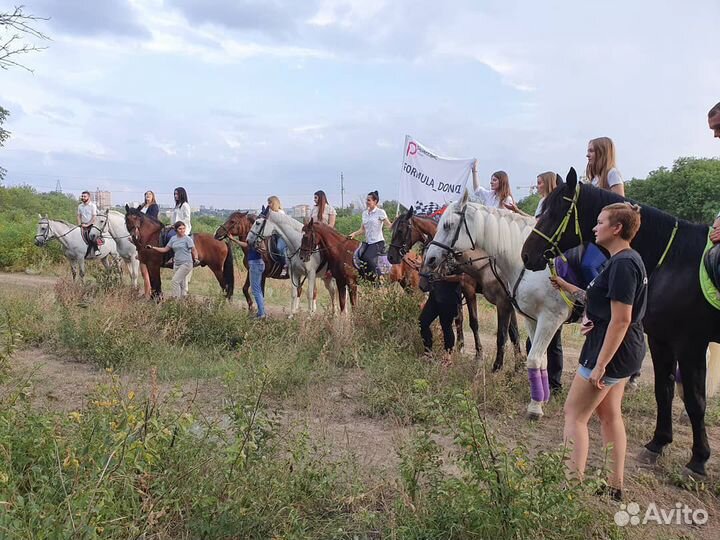 Конные прогулки