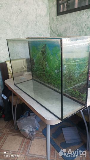 Аквариум
