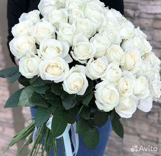 Розы гиганты 140 150 160 170 180 200