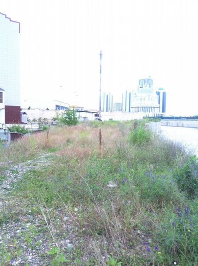 Участок 18 сот. (ИЖС)