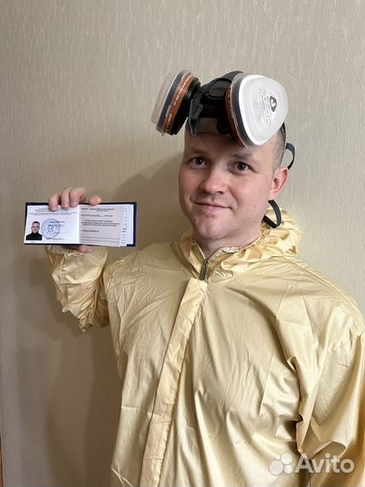 Уничтожение клопов,тараканов,плесени