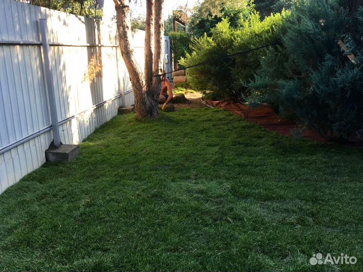 Газон от производителя