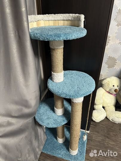 Когтеточка