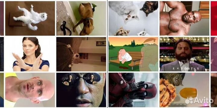 Игра Мемология, какой ты мем, что за мем