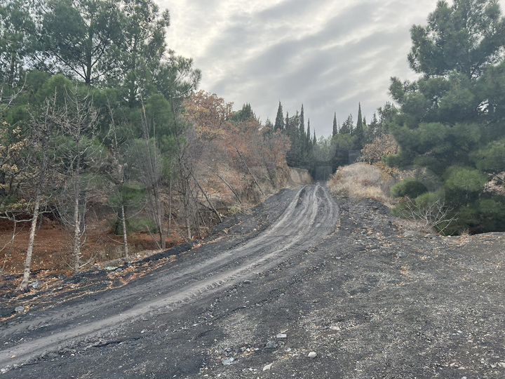 Участок 30 сот. (ИЖС)