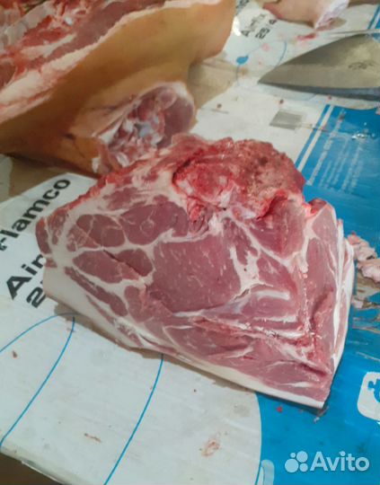 Мясо свинина домашняя