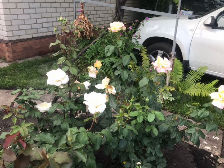 Дача 37,4 м² на участке 16 сот.