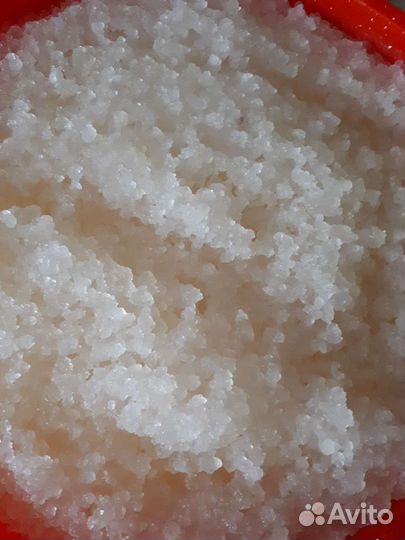 Индийский морской рис (гриб)