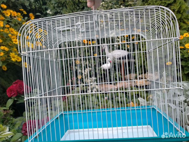 Вольер для попугаев