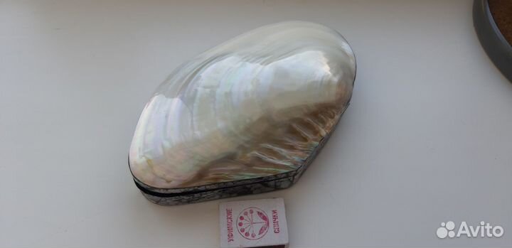 Ракушка-шкатулка большая