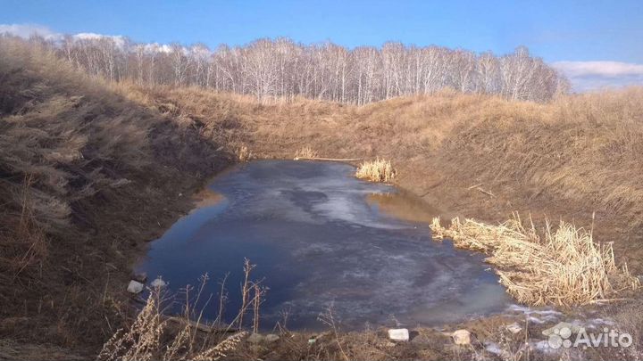 Фермерское хозяйство