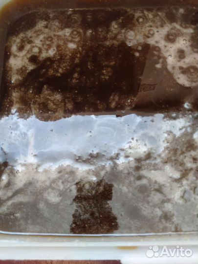 Мед-чудоГречка,разнотравие2023