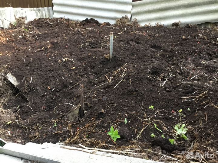 Чернозем перегной бесплатно