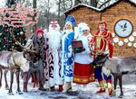 Билеты в Воронежскую Усадьбу Деда Мороза