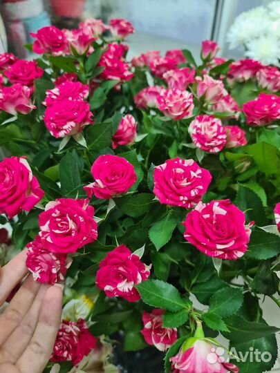 Цветы букеты с доставкой