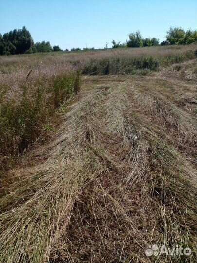 Сено в тюках