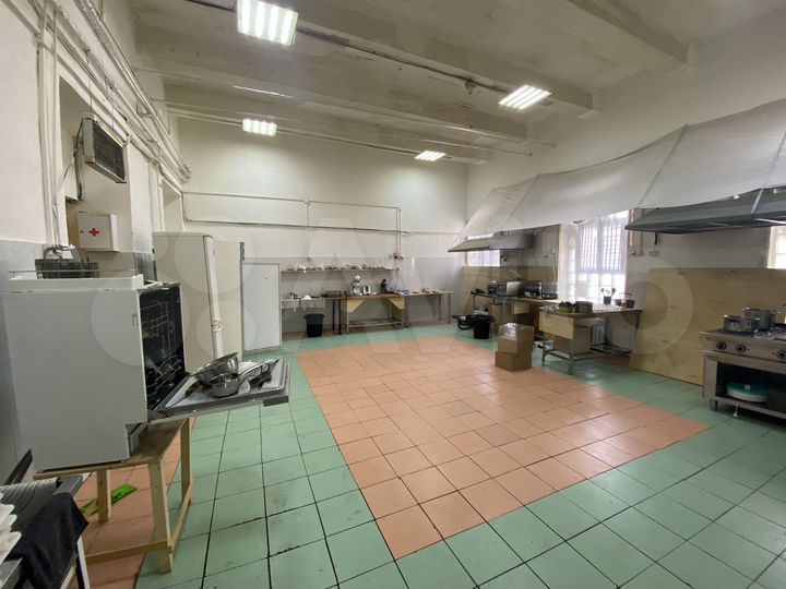 Пищевое производство, 101 м²