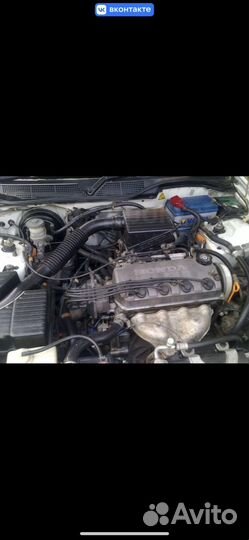 Honda civic в разбор
