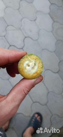 Чёрный орех молотый(зелёный)