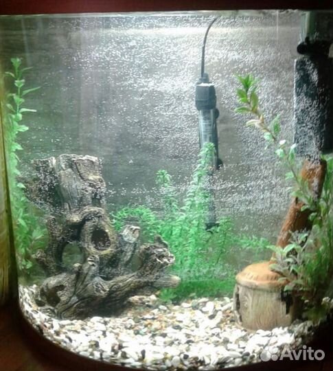 Аквариумы на заказ