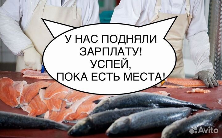 Обработчик рыбы