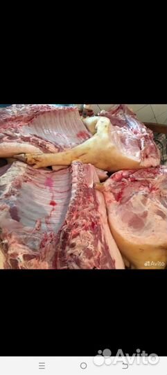 Мясо свинины домашнее