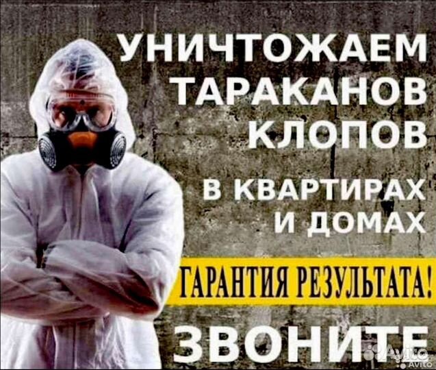 Уничтожение клопов тараканов блох мышей