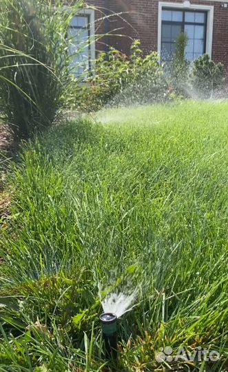 Автополив газона
