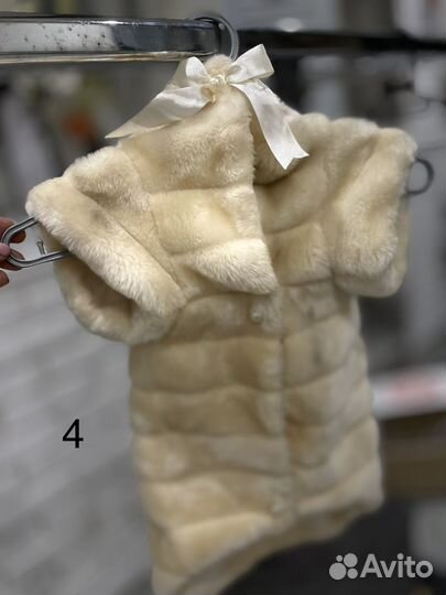 Одежда и обувь для собак