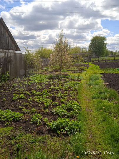 3-к. квартира, 47,5 м², 1/1 эт.