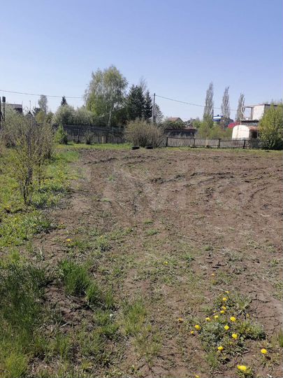 Участок 11 сот. (СНТ, ДНП)