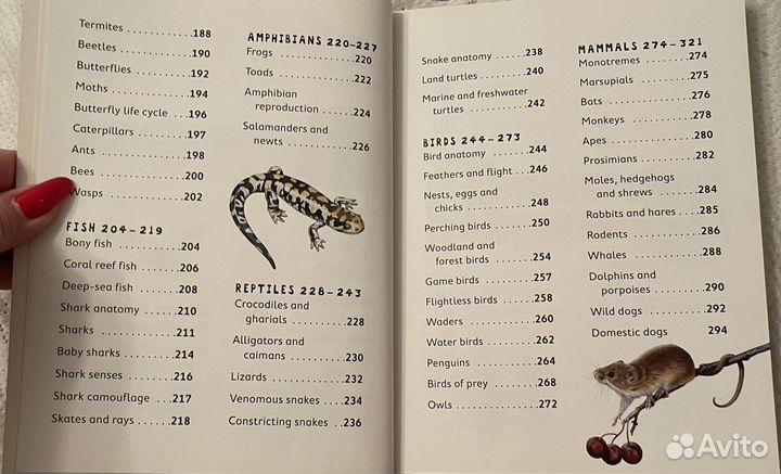 Английские книги для детей