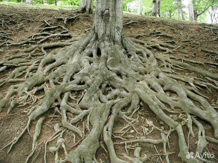 Предметы интерьера