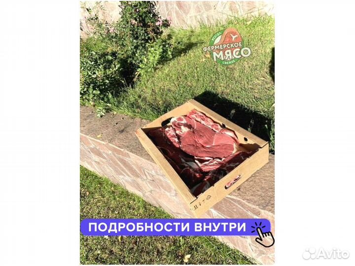 Мясо говядина