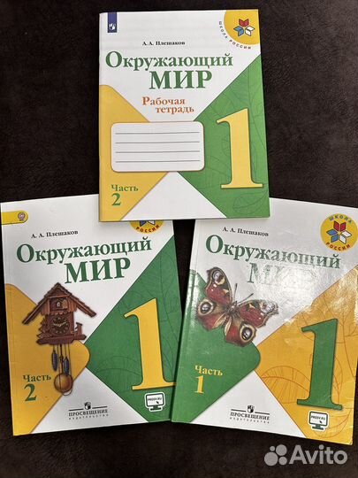 Окружающий мир 1 класс плешаков