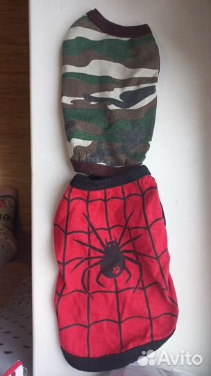 Одежда для животных