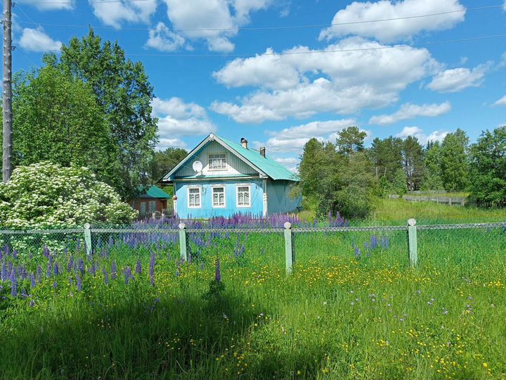 Дом 54,2 м² на участке 2 га