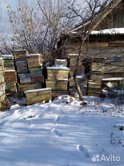 Пчелиный улей + 10 рамок