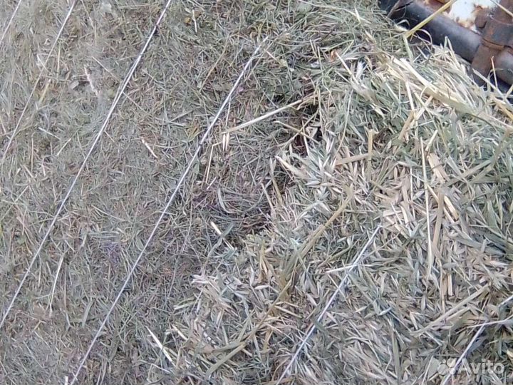 Сено в тюках