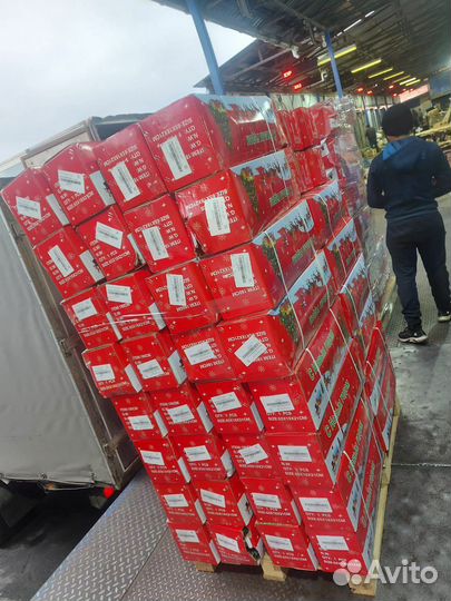 Искусственные елки оптом. Королева Весна Премиум