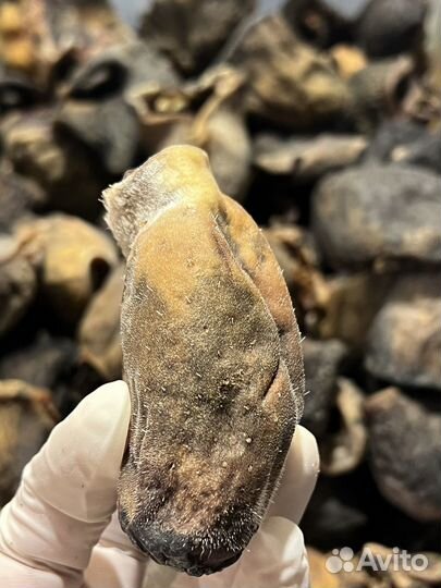 Губы говяжьи сушеные