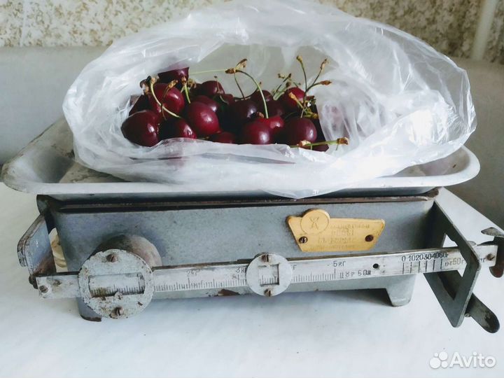 Весы для продуктов