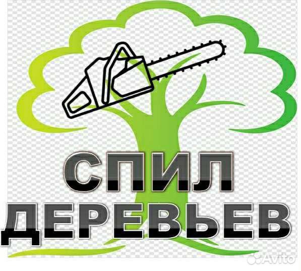 Спил деревьев