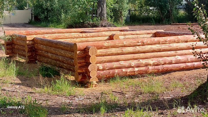 Срубы из Кедра и Сосны, лес зимней вырубки