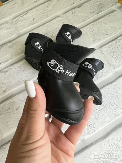 Обувь для собак