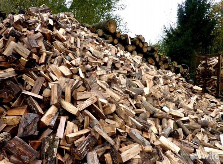 Дрова березовые