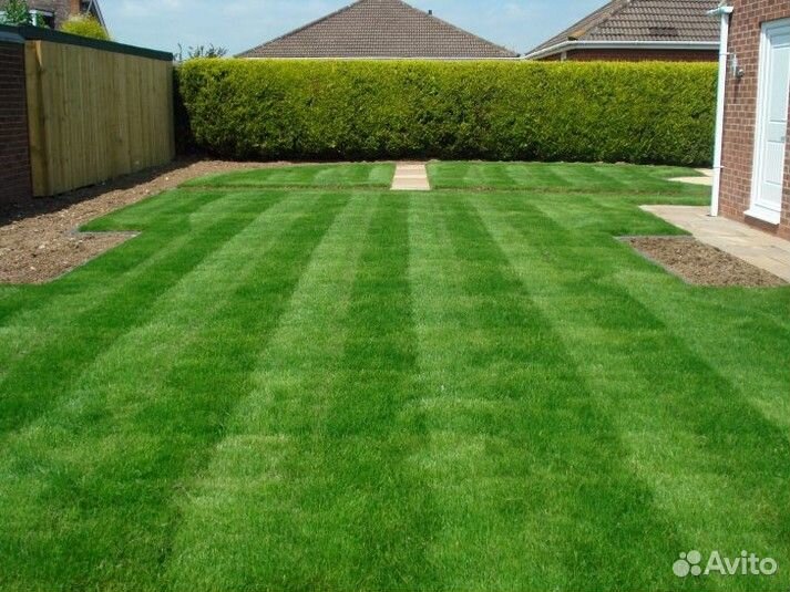 Земля для газона