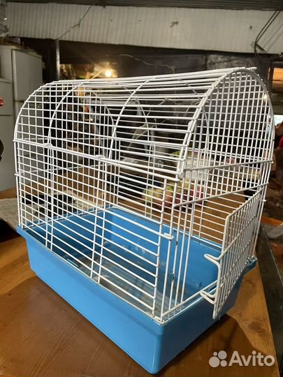 Клетка для хомяка