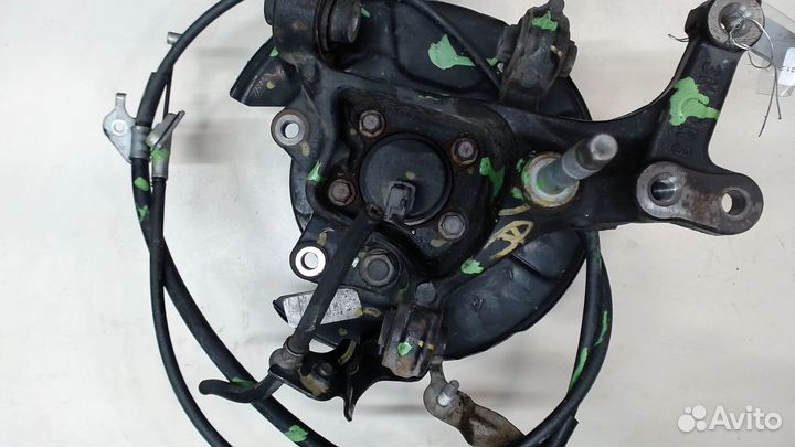 Ступица (кулак, цапфа) Toyota Camry XV70, 2019